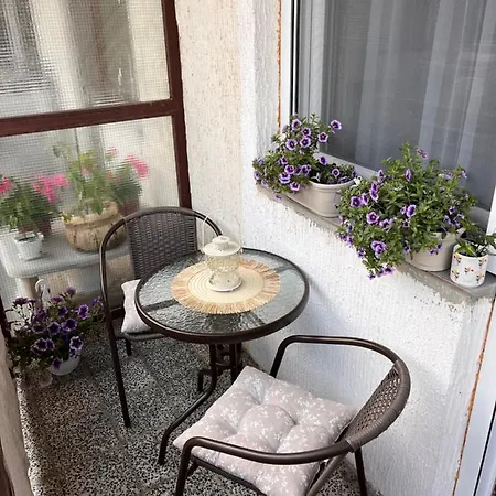 Polo * Ягодина